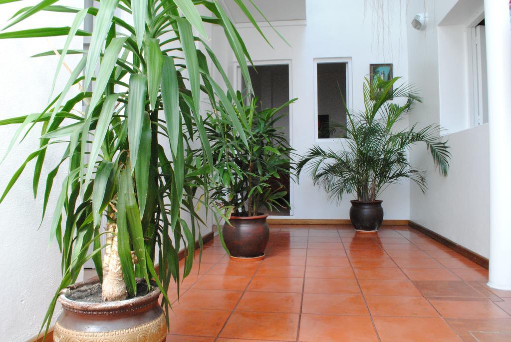 Hotel Romi Colonia del Sacramento Exterior foto